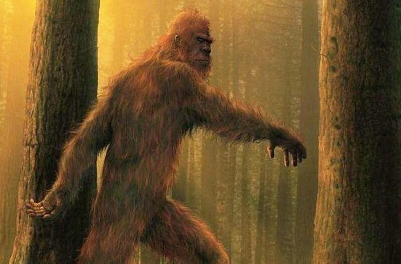 esrpic 64a64a82b01651