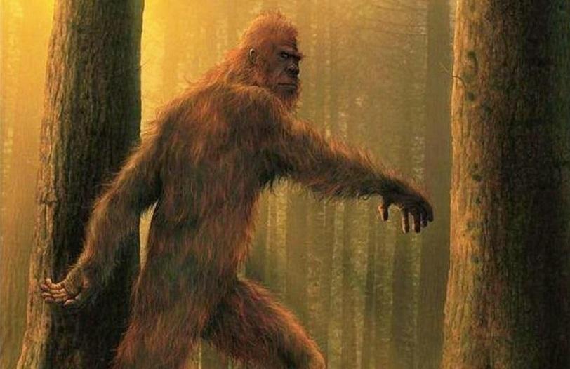 esrpic 64a64a82b01651