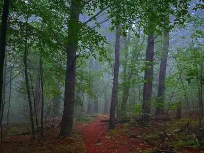 95d9778e5f3999909cee8f6e277ed096