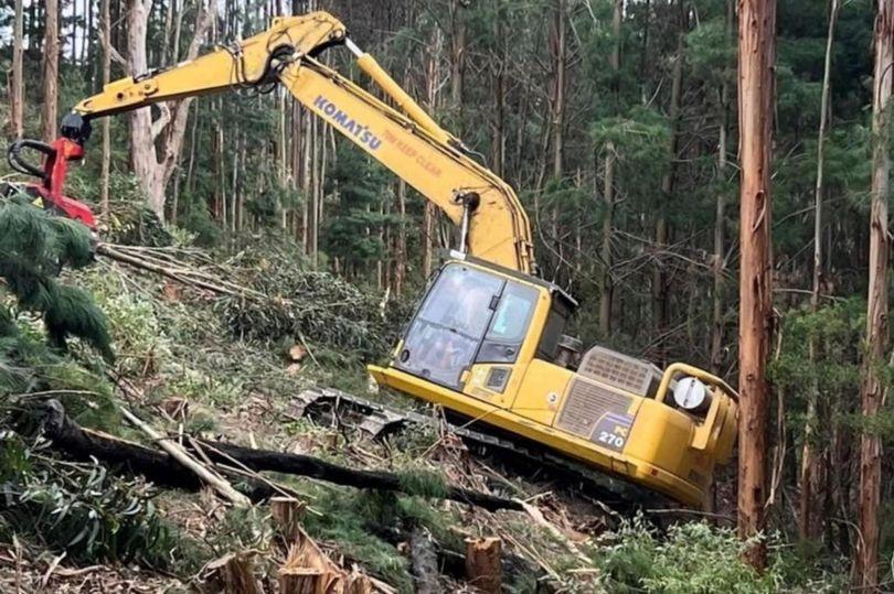 «Призрак маленького мальчика» увидели в кабине экскаватора 18 esrpic 6433025fdba6b1