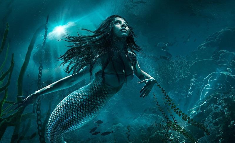 esrpic 6538d470923d81