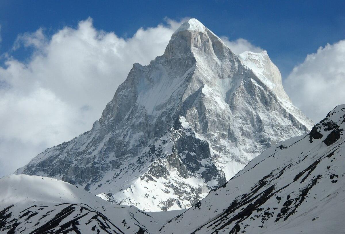 Ученые провели анализ ДНК волос «Йети», найденных в Гималаях 18 esrpic 6547bb9f8d9a11