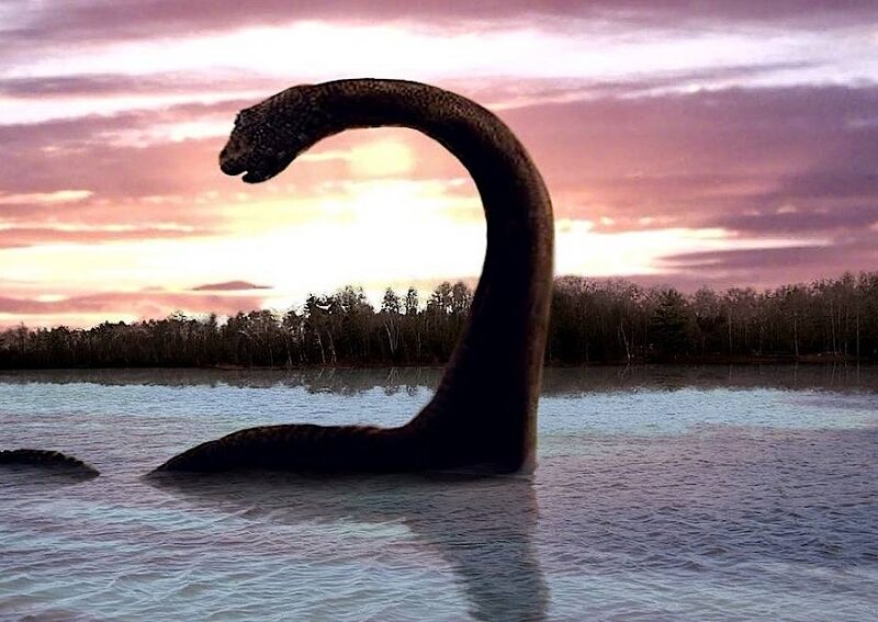 esrpic 6606409a1fbf91