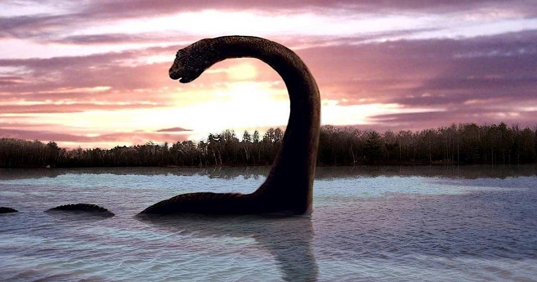 Загадочное существо заметили в реке Гудзон 18 esrpic 6606409a1fbf91