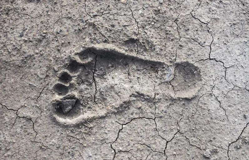 esrpic 67494d5ed1e061