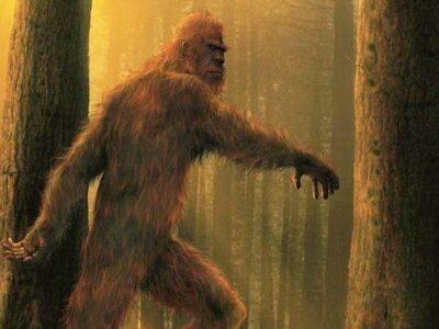 esrpic 66118bbf5481a1