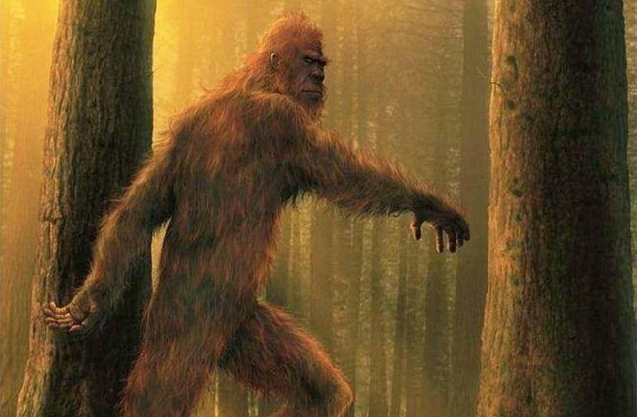 esrpic 66118bbf5481a1