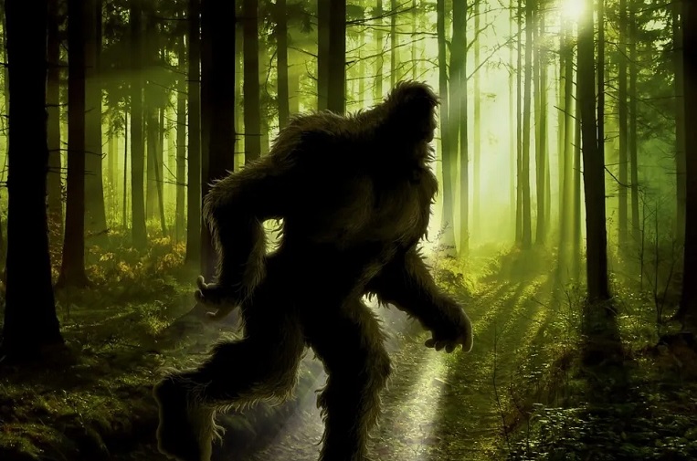 esrpic 64eaf71e3f4ce1