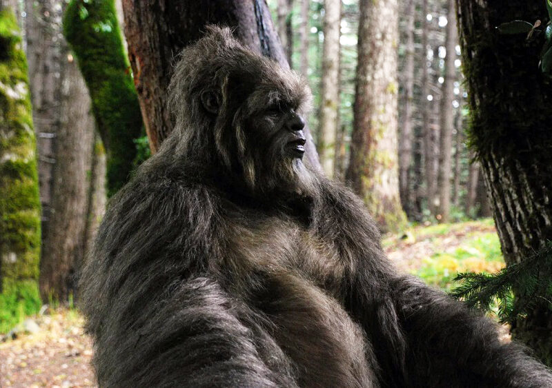 esrpic 64e5a7a731d991