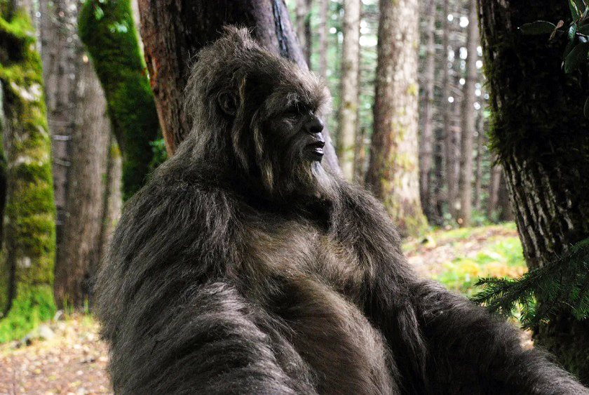 esrpic 64e5a7a731d991