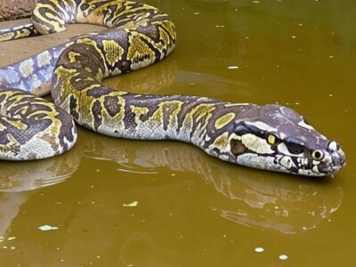 esrpic 6755f1d83712a1