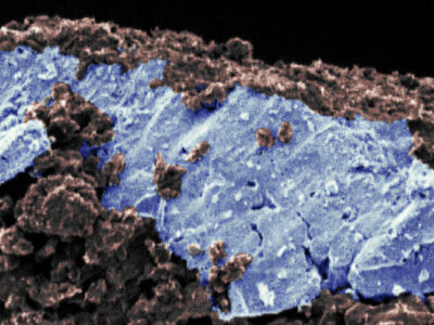 Загадка земных океанов: открытие на астероиде Рюгу ставит под сомнение прежние теории 21 7913