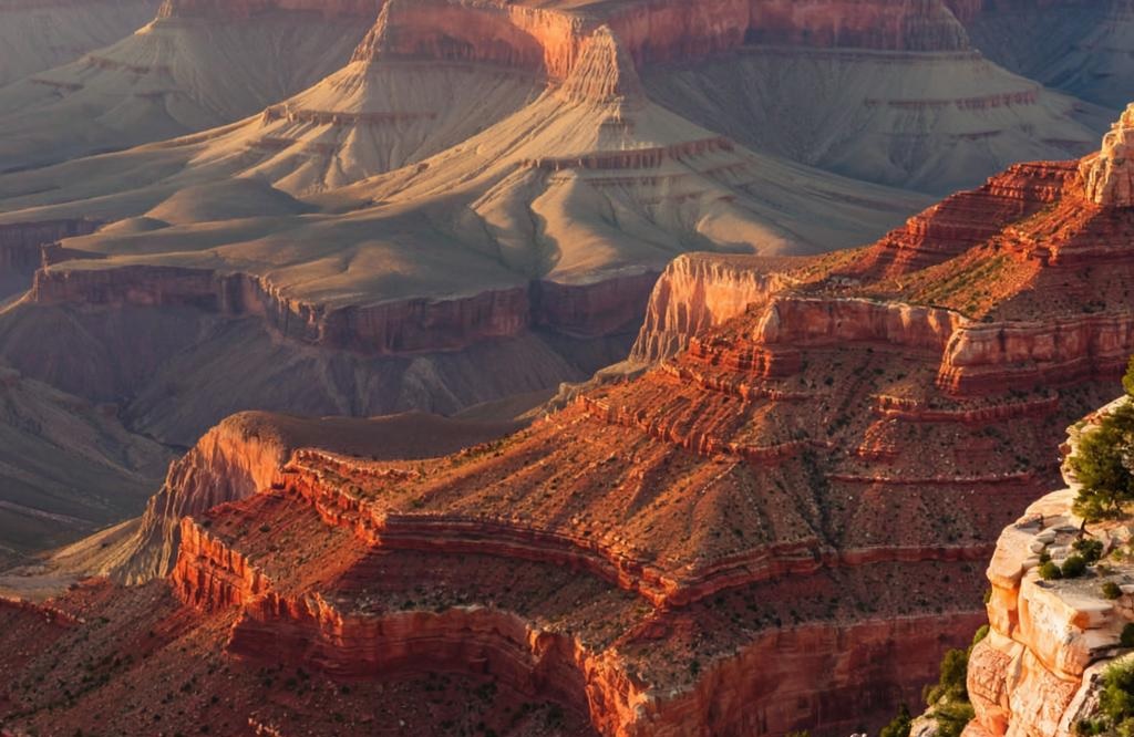 Окаменелости в Гранд-Каньоне указывают на странные эксперименты эволюции 18 esrpic 688396c9b0f411
