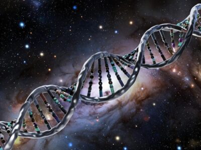 esrpic 68e55503e8c751