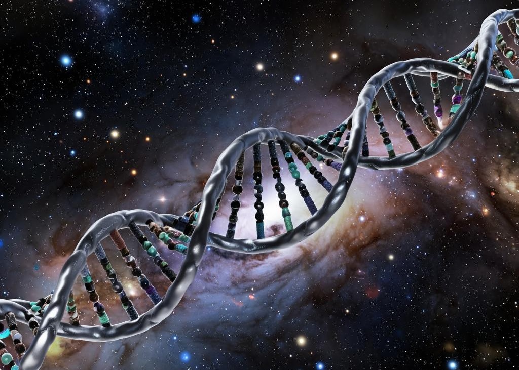 esrpic 68e55503e8c751