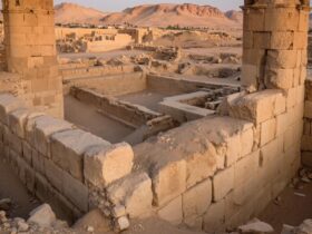 esrpic 69146f6ce794c1