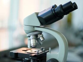 Динозавры процветали до астероида: исследование Нью-Мексико 9 56760162.webp