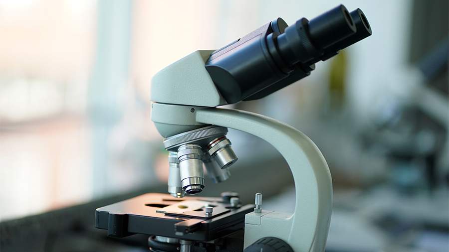 Динозавры процветали до астероида: исследование Нью-Мексико 18 56760162.webp