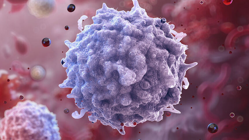 Как омолодить иммунитет: новая методика с использованием mRNA и печени 18 7993