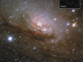 James Webb увидел пылевой тор Circinus: чёрная дыра питается активнее, чем выбрасывает 13 58024055.webp