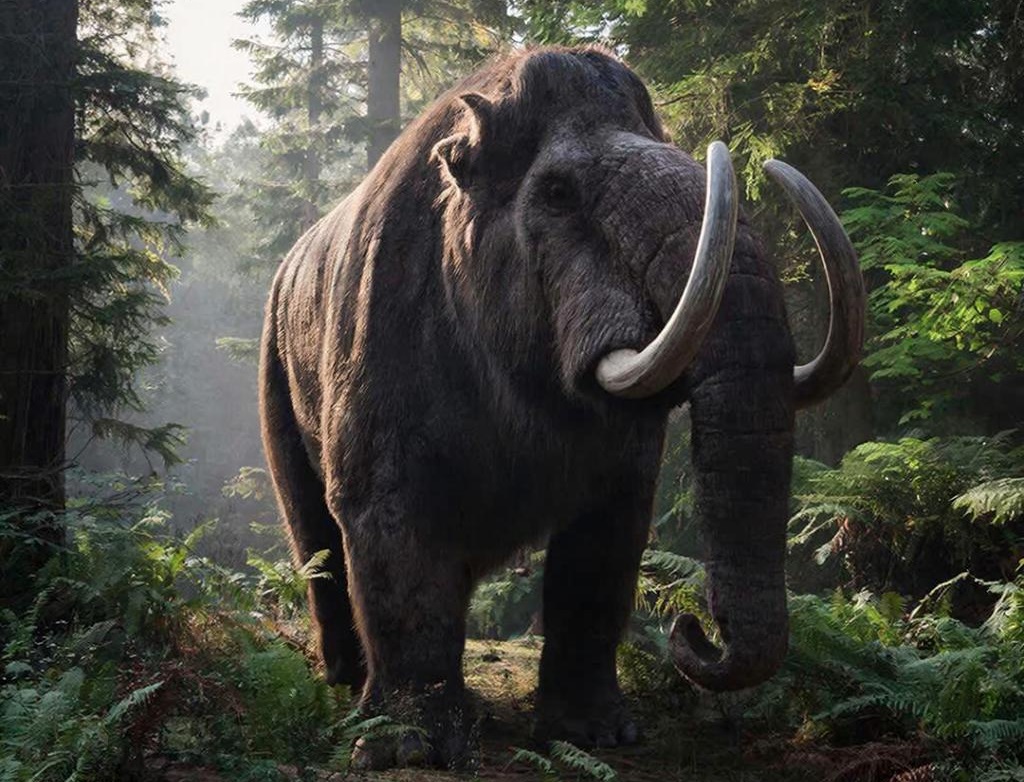 esrpic 698c8d4addd311