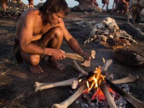 esrpic 69afa1134e41e1