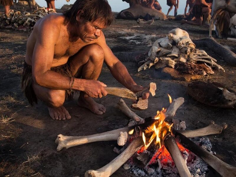 esrpic 69afa1134e41e1