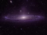 s85901181
