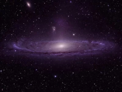 s85901181