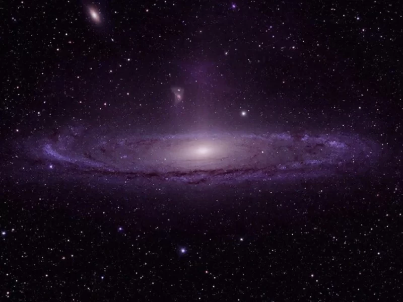 s85901181