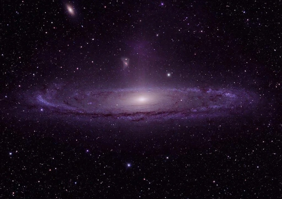 s85901181