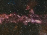 s87851066