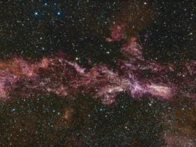 s87851066
