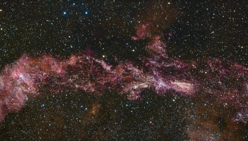 s87851066