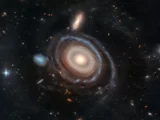 51246447