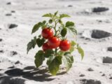 esrpic 6aa38fb89652a1