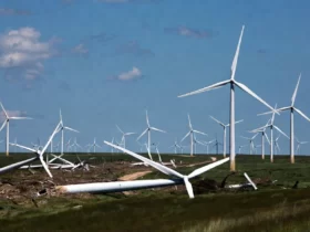 s55274280