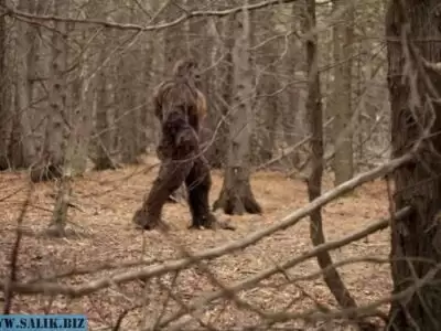 db046d17b45448bd601c362c3fce3355 1