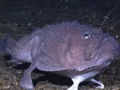 pic 28 12 2019 2136581