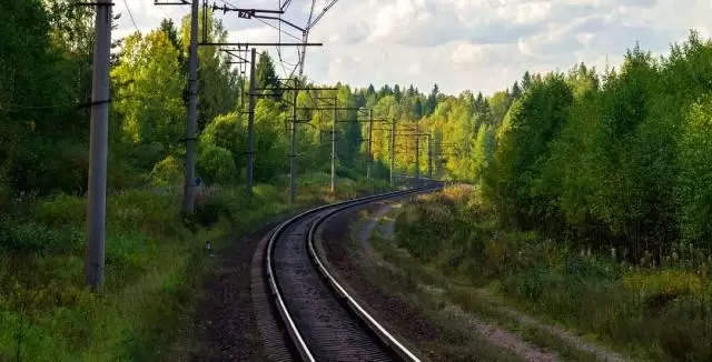 10687341