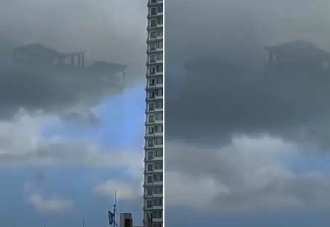 15525964