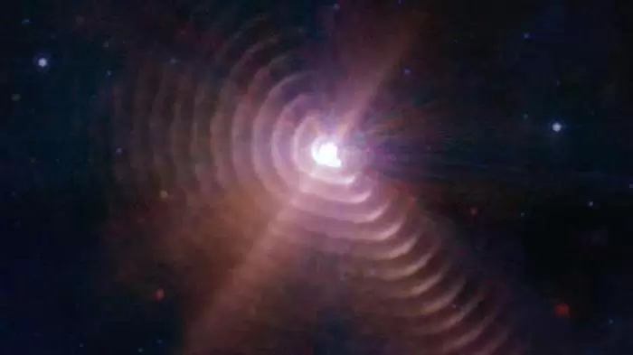 59644872