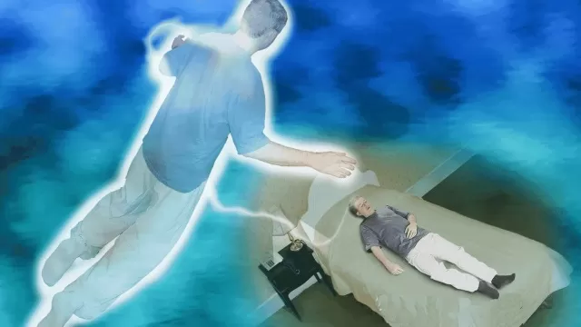 81101615