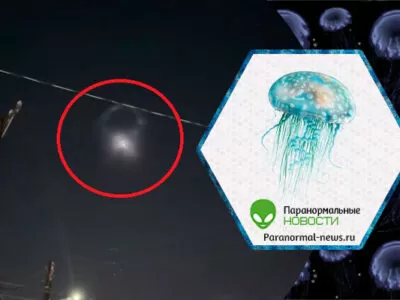 52137941