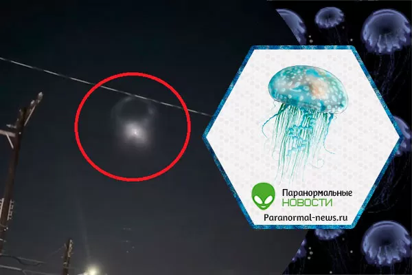 52137941