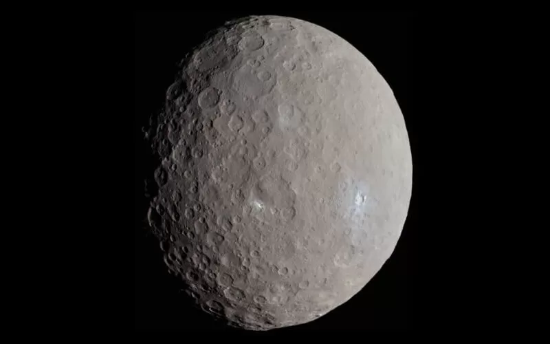 s58460798