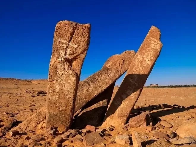 75683980