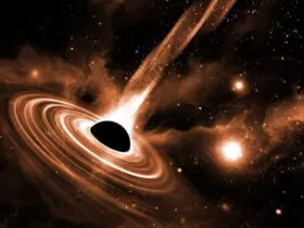 s68238215