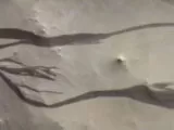 7873