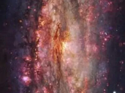 7883